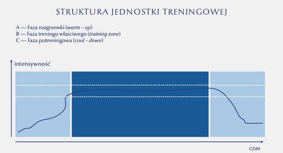  Struktura jednostki treningowej 